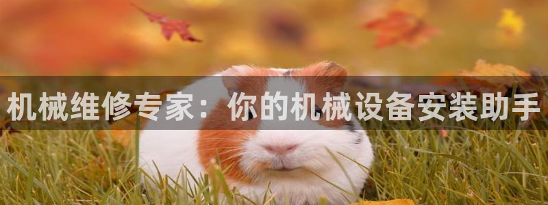 风暴娱乐拉菲8