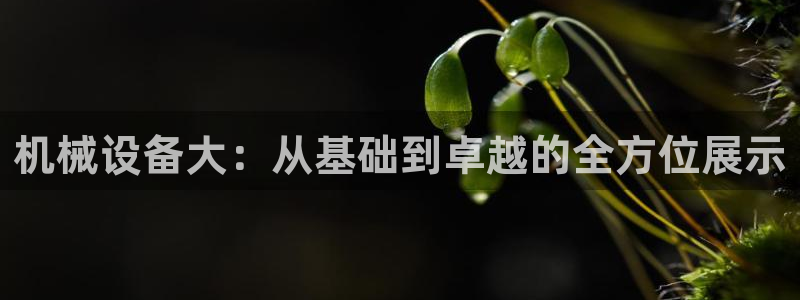 娱乐风暴系统