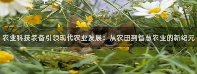 风暴娱乐左5指尖