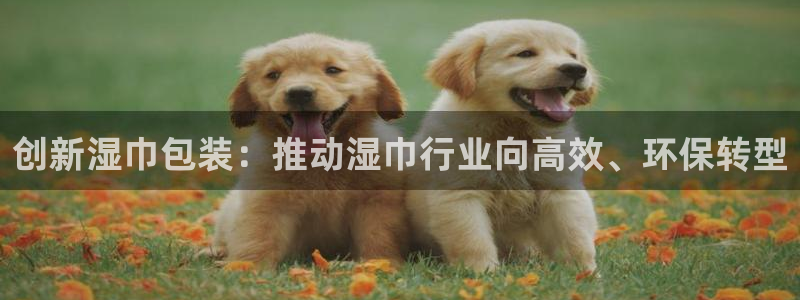 风暴娱乐点