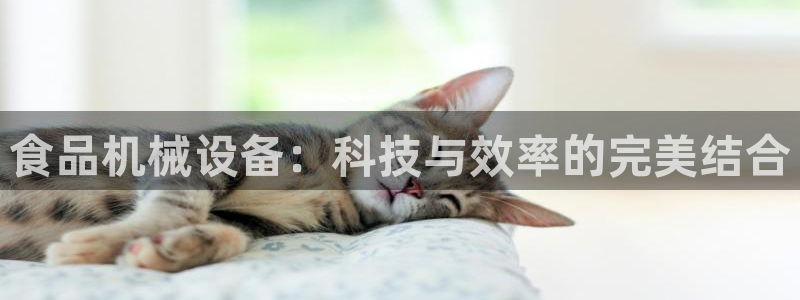 风暴娱乐下5指尖