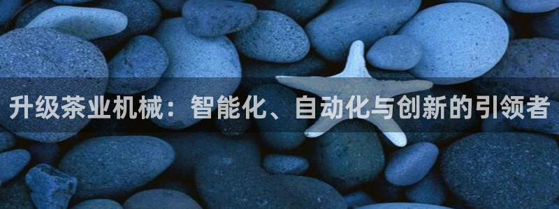 风暴娱乐主管是谁