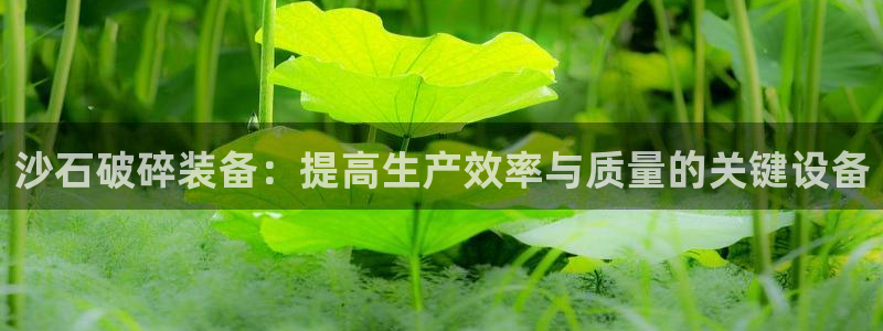 风暴英雄娱乐