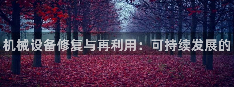 风暴娱乐344272