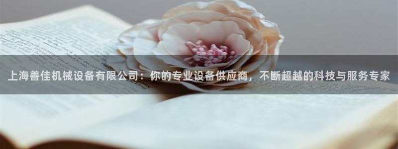 风暴新娱乐