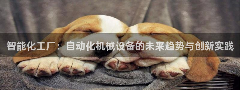 风暴平娱乐