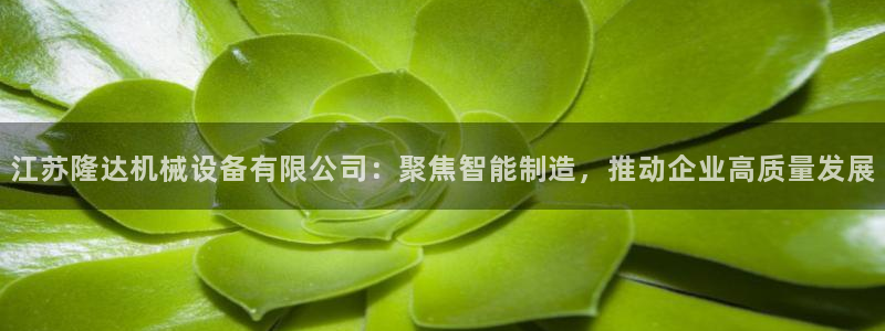 风暴娱乐右5指尖