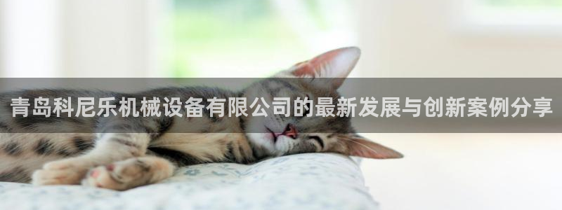 风暴娱乐月5指尖