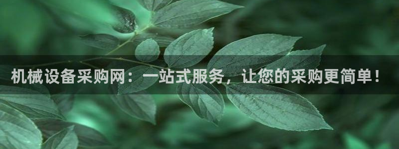 风暴娱乐右5指尖