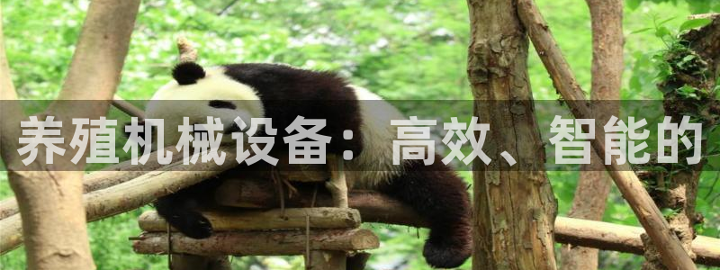 风暴娱乐 风暴注册平台