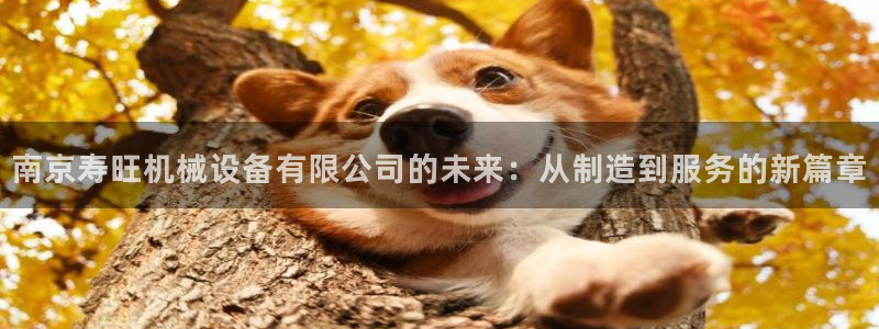 风暴娱乐40996