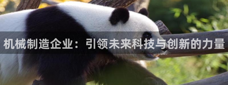 风暴娱乐自动挂