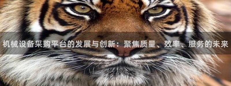万万娱乐风暴