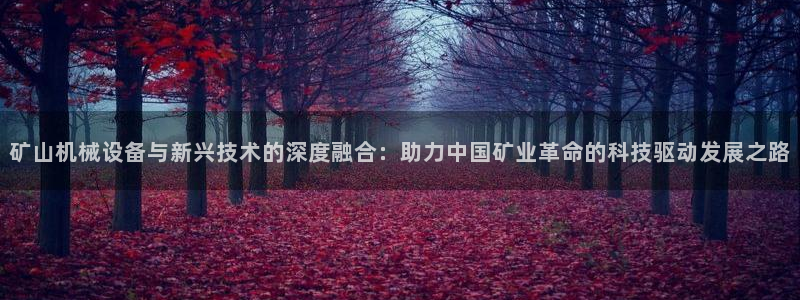风暴娱乐右5指尖