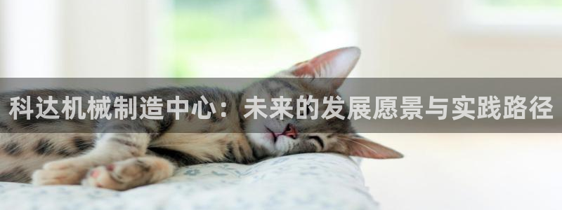 风暴娱乐老板
