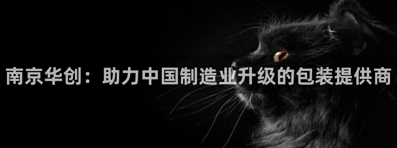 风暴娱乐主管是谁