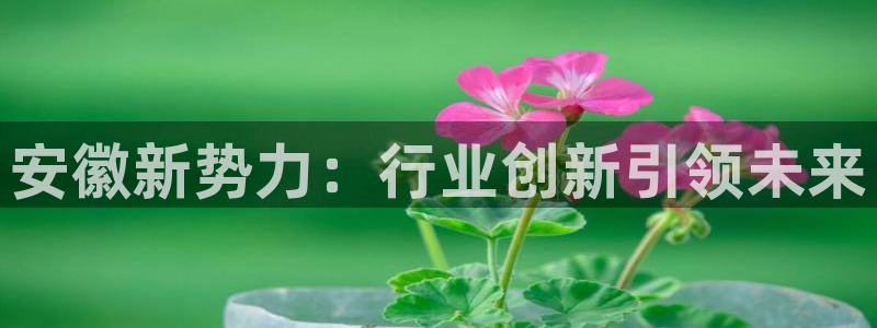 风暴娱乐下5指尖