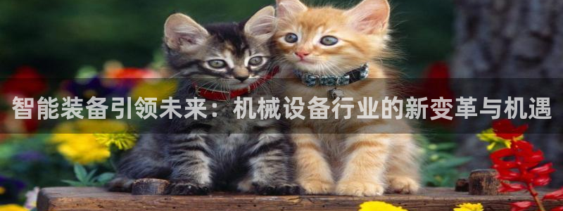 风暴娱乐实况