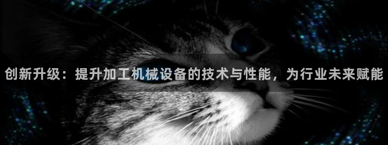 风暴娱乐右5指尖