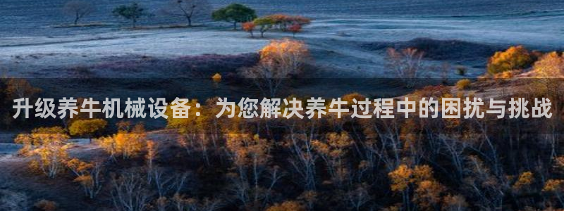 风暴娱乐官方网站