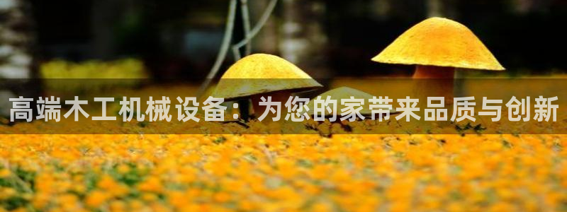 风暴娱乐下载地址