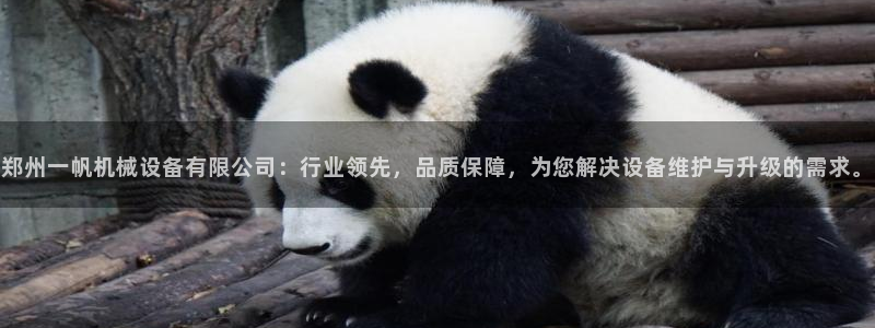 风暴娱乐字图片大全